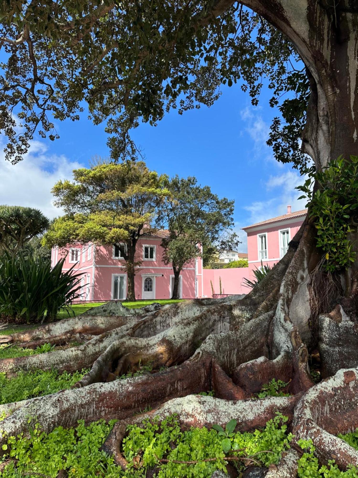Solar Dos Cantos Botanic House & Garden Ponta Delgada  Exterior photo